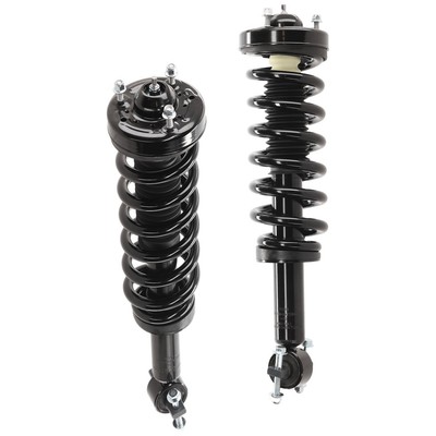 Fully Loaded Strut Set of 2 Rear Driver & Passenger Side for F150 Truck Pair
