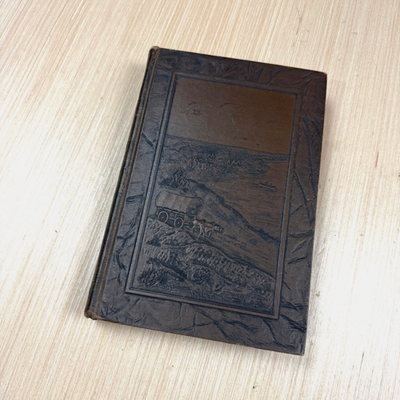 #ad Vintage Illinois The History of the Nation Decorative Book Edward Dunne 1933 $74.99