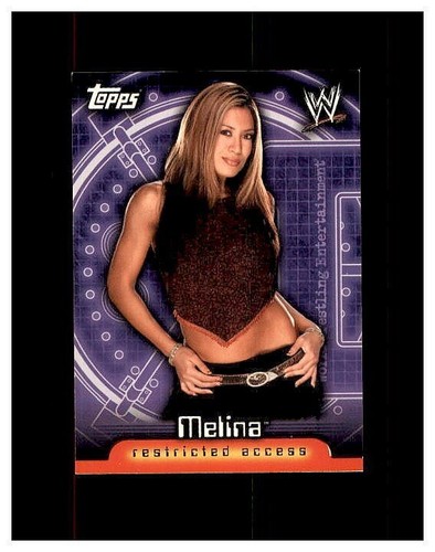 2006 TOPPS WWE RESTRICTED ACCESS CARDS YOU PICK SEE SCANS OF EVERY CARD - Picture 14 of 25