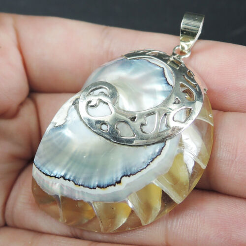925 Sterling Silver Clear Natural Nautilus Shell Pendant Jewellery, NSP-252 - Picture 2 of 6