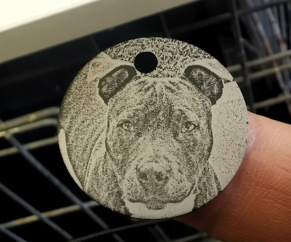 Personalised cat and dog Engraved ID picture and Identification bling for pets - Image 2 of 4