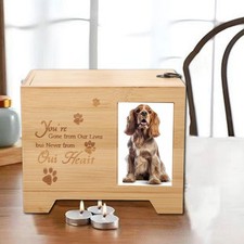 Pet Memorial Urn for Dogs Cats Small Animals Funeral Pet Remembrance Container