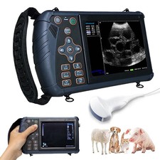 Veterinary Ultrasound Scanner Convex probe Pregnancy Test for Sheep Goat Pig dog