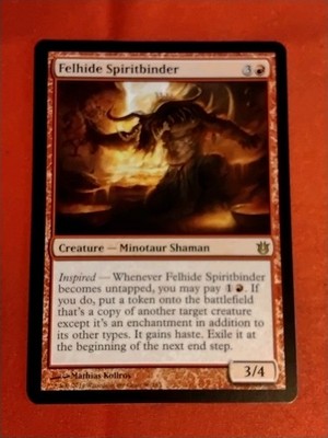 Felhide Spiritbinder 96/165 Born of the Gods Magic the Gathering - Unplayed Mnt+