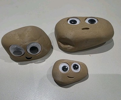 KLEINES HAUSTIER ROCK Familie Taschenfreunde Steinfreunde süßes Geschenk