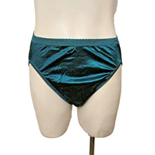 Vassarette Second Skin Satin Wide Thick Signature Waistband Hi Leg Brief Panty 6