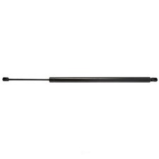 Tailgate Lift Support-Liftgate Lift Support Strong Arm fits 05-10 Honda Odyssey
