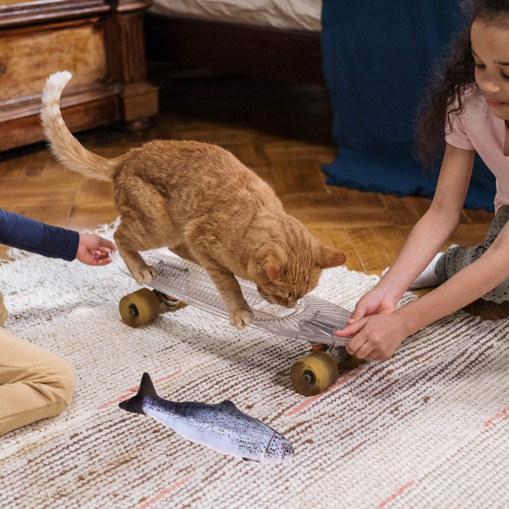 4 Pcs Kitten Fish Flop Cat Toy Funny Cat Toy Fish Interactive Cat Toys