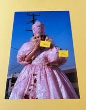 Rare Wild At Heart photo Sheryl Lee (Twin Peaks) Good Witch David Lynch 12x8&rdquo;