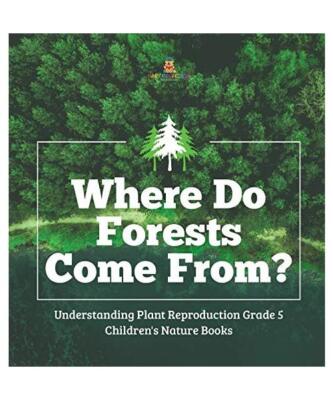 Where Do Forests Come From? | Understanding Plant Reproduction Grade 5 | Childre