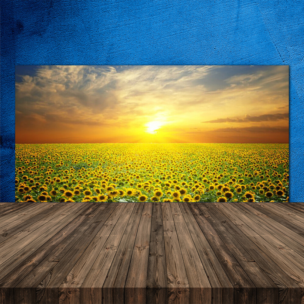 Crédence de cuisine en verre panneau mural 120x60 paysage nature