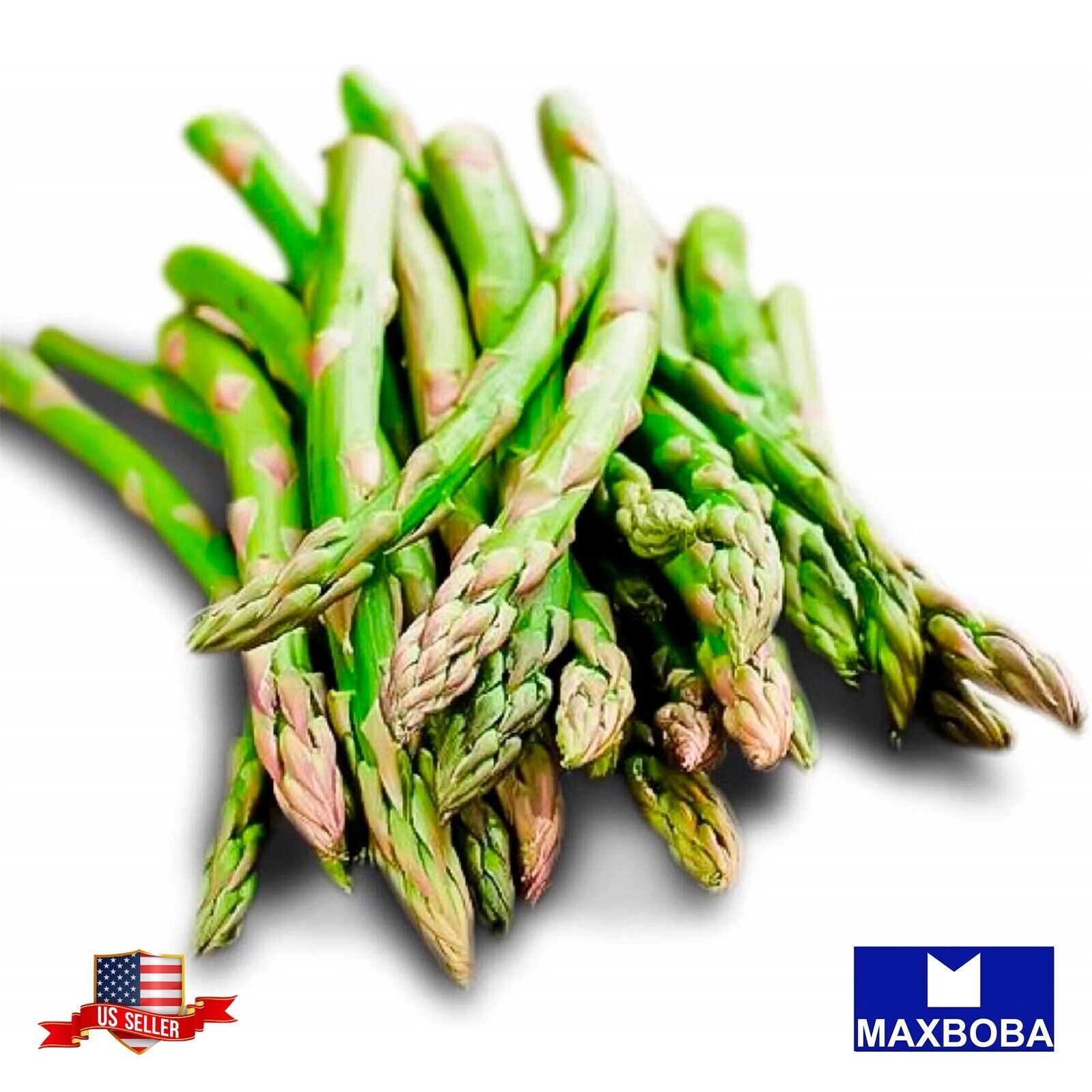Asparagus Seeds Mary Washington Non GMO Heirloom and Vegetable eBay