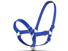 Adjustable Nylon Cow Halter one Halter for 1 Year to Full Size Easy Adjustabl
