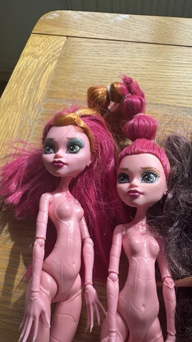 Monster High Muñecas Paquete x20 Accesorios Ropa Mascotas Figuras Raras - Imagen 10 de 21