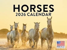 Horse Calendar 2026 Horses Monthly Wall Calender 12 Month 12x18