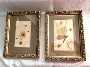 VTG Pressed Flowers Petals Seed Pods Gold Wood Framed Wall Art 8x6" w/Glass Set2