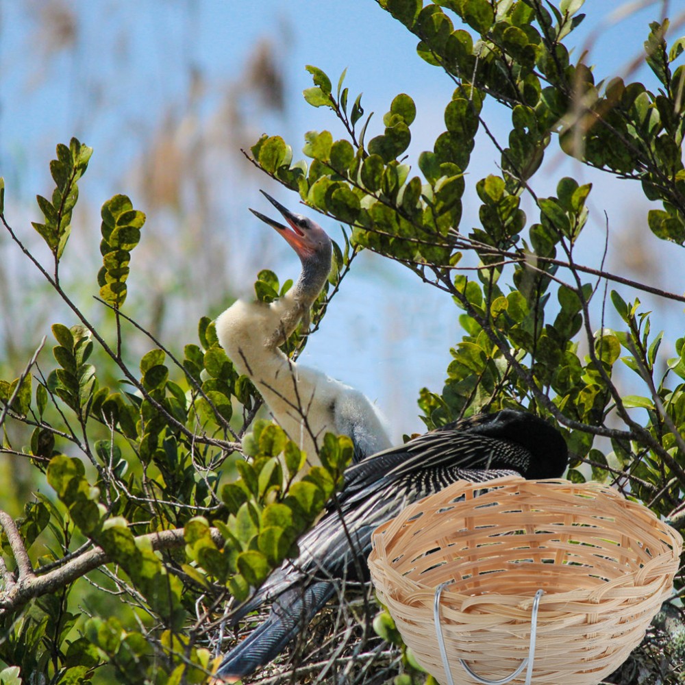 10 Pcs Breeding Cave with Hook Simulated Rattan Woven Bird's Nest Straw Nests