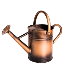 Metal Plant Watering Can With Removable Spout - 1 Gallon