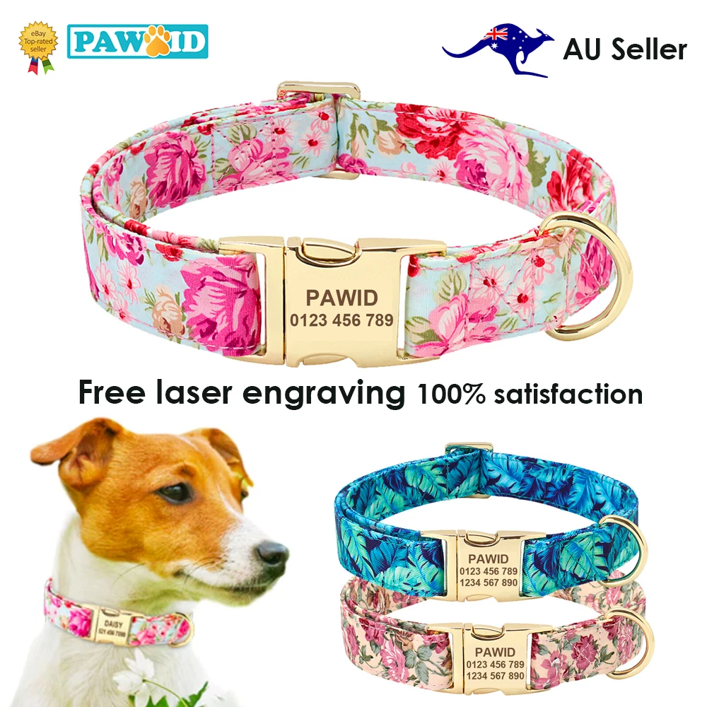 Dog collars 2025 ebay australia