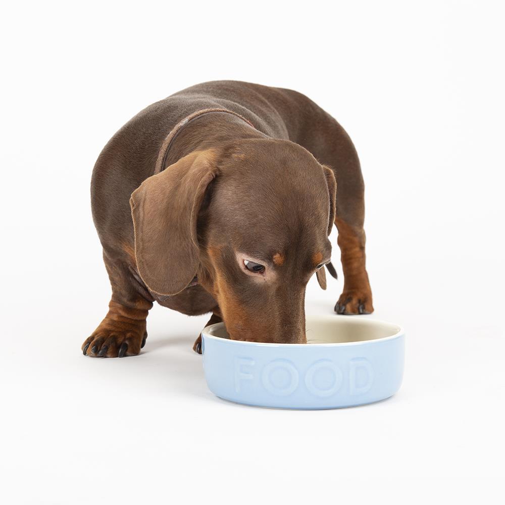 Small Pet Food Bowl Guinea Pig Rabbit Reptile Feeding Bowls Stoneware 13cm Blue