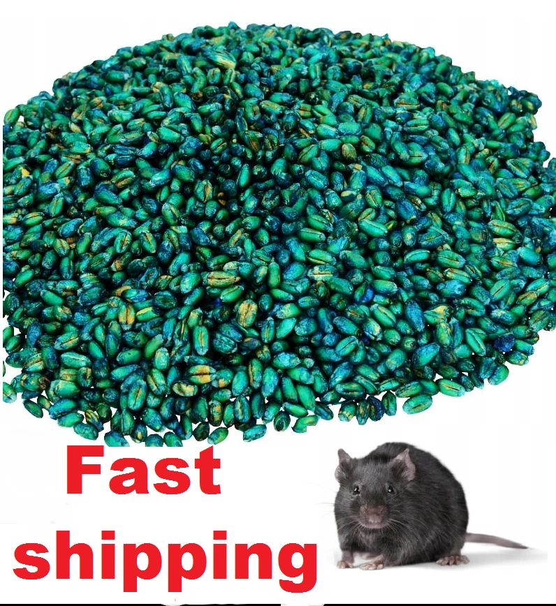 RAT MOUSE POISON BAIT MAX STRENGTH RODENT KILLER GRAINS KILLS IN A