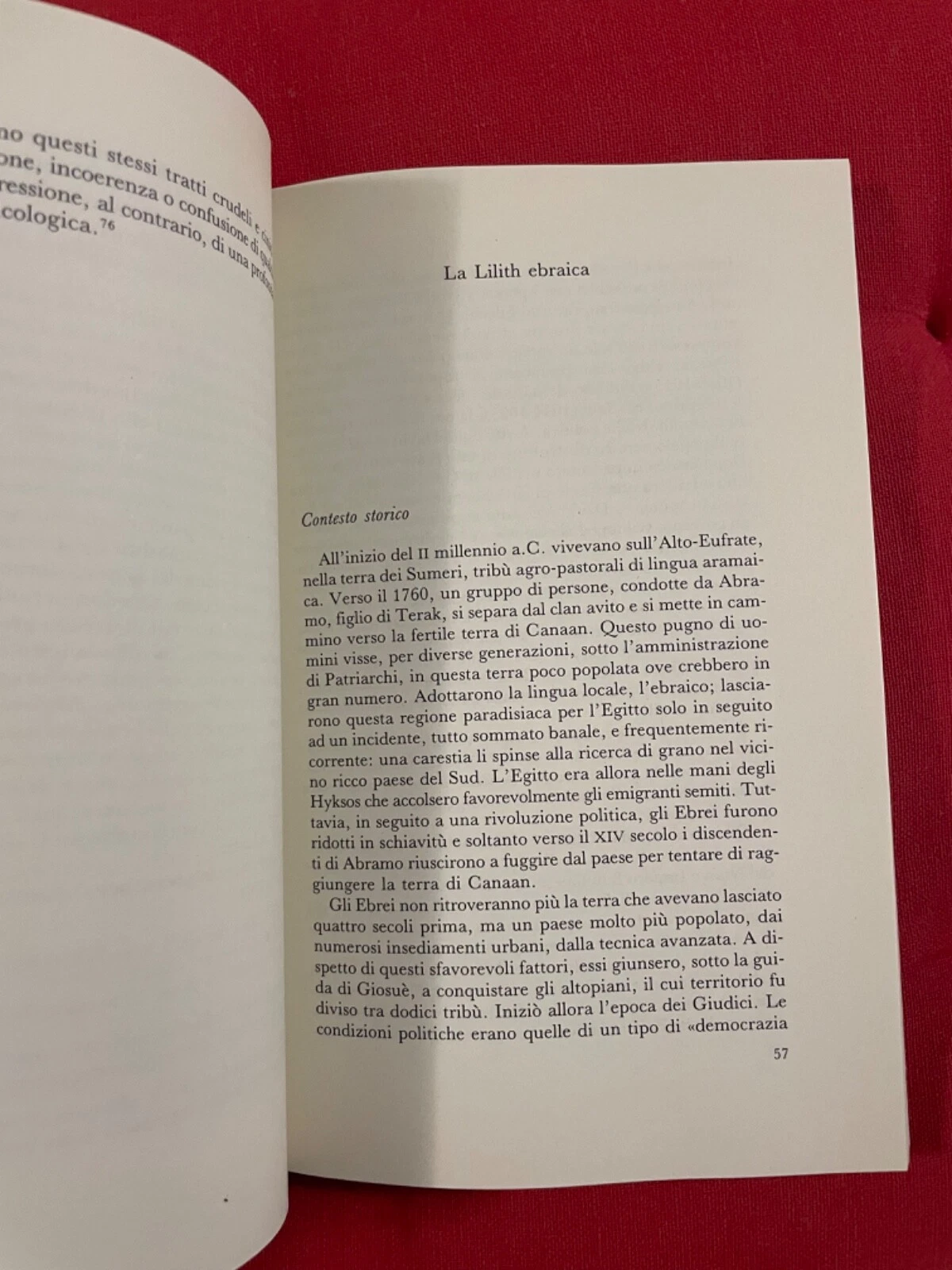 Foto 5 di 11