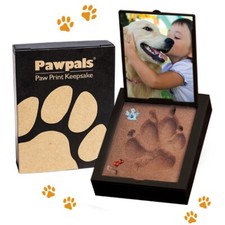 PawPals Paw Print Keepsake Classic Mold Kit, Small