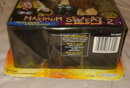 WWF Maximum Sweat Serie #2 - Road Dogg Jesse James Actionfigur neu versiegelt DX - Bild 3 von 3