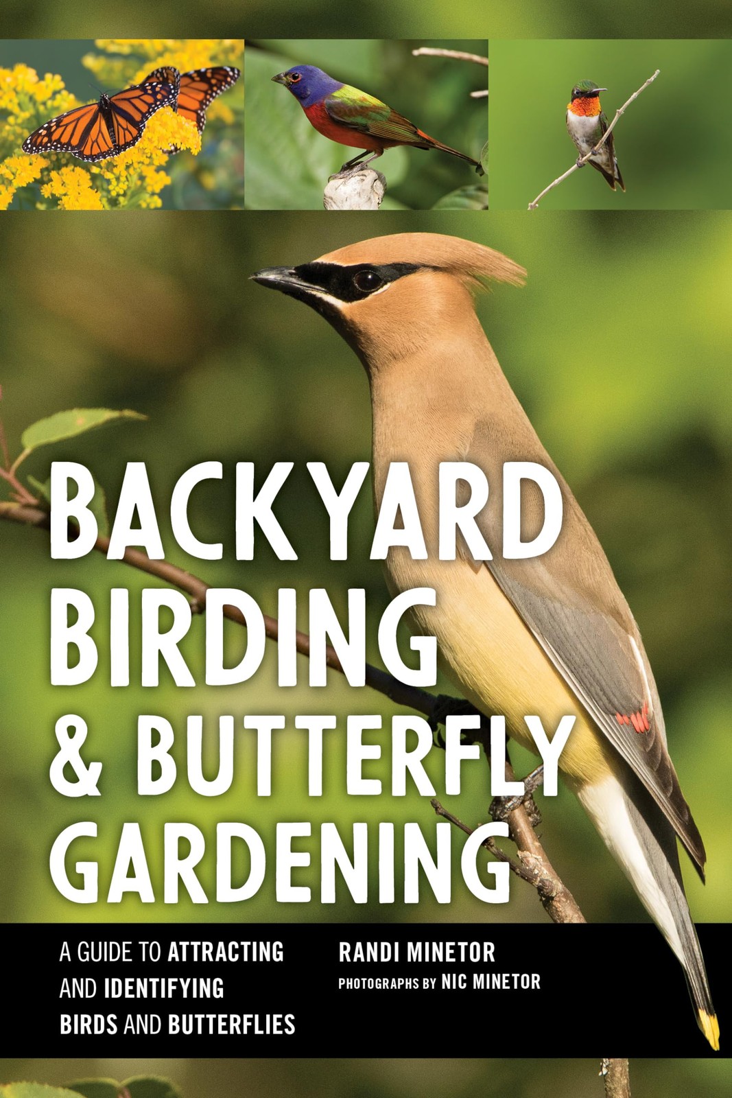 Backyard Birding and Butterfly Gardening by Randi Minetor (2022)