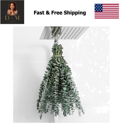 10 Pcs Dried Eucalyptus Stems 17'' Real Eucalyptus for Shower Hanging 100% Mad...