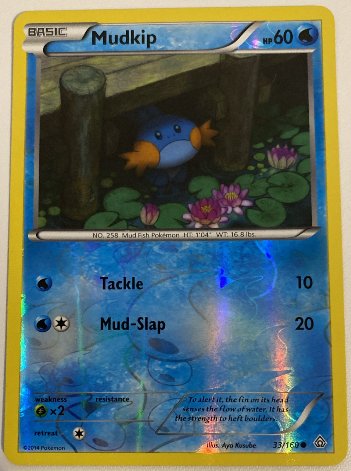 Mudkip 33/160 Reverse Holo XY Primal Clash Pokemon Card 2014 LP