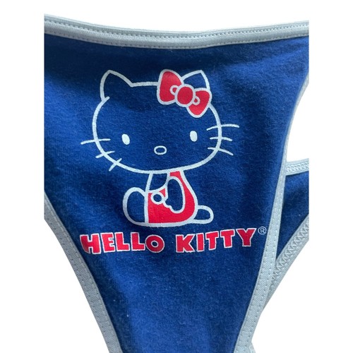 Y2K HELLO KITTY G-STRING PANTY BLUE SZ M CHEERY ON THE BACK KAWAII MADE 2004 - Bild 8 von 10