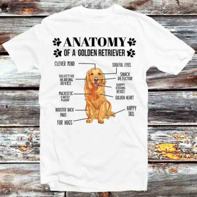 Anatomy Of A Golden Retriever T-Shirt B1199