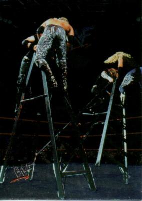 Matt Jeff Hardy Dudly Boyz Edge WWE Hologram Comic Image Trading Card 1998 #56