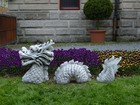 Bild 3 von 9