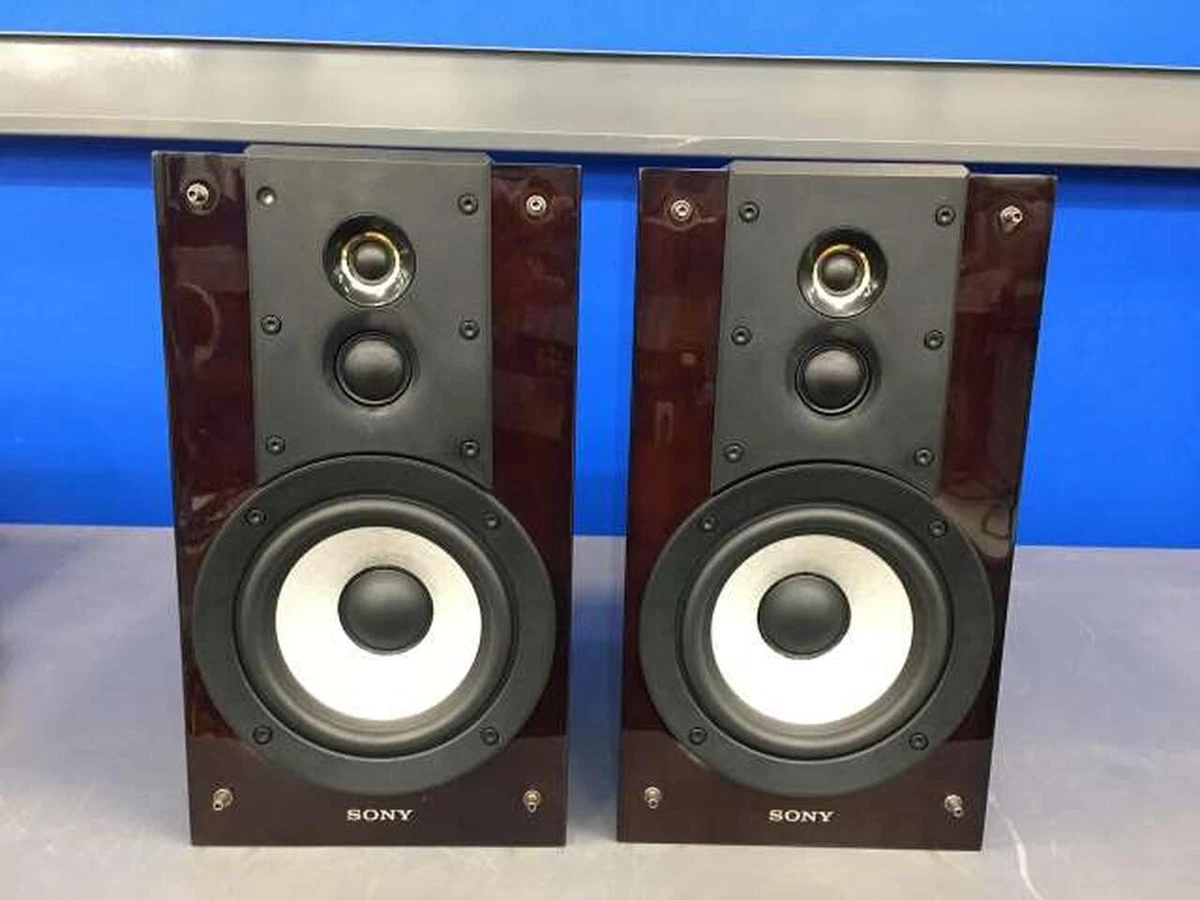 Sony SS-HW1 Hires 3 Way 4 Driver Speaker Audio Stereo System Wood Cabinet WD MRC