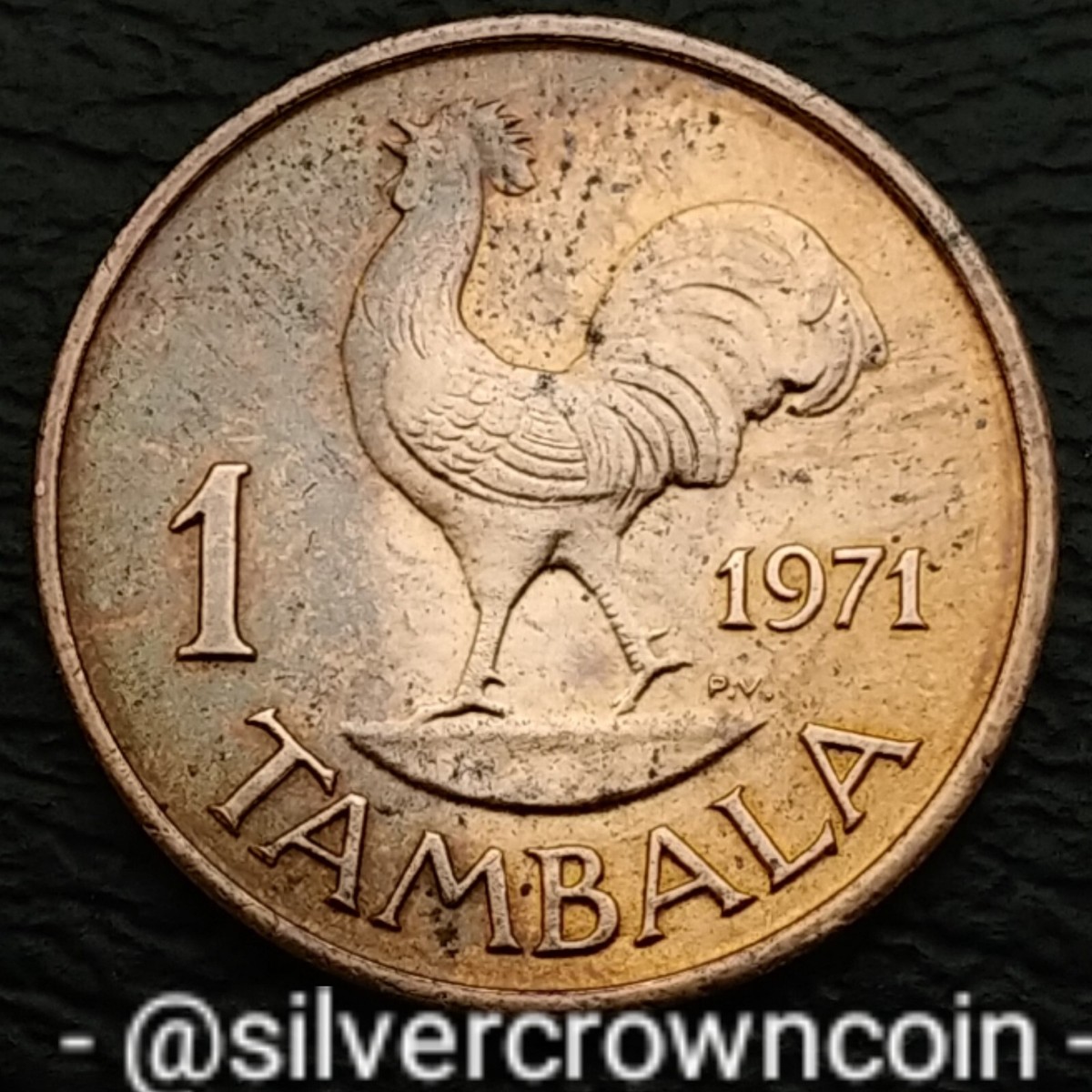 廃盤銅底　koinu 仔犬印　パーコレーター6cup 日本製　レア品USED Malawi 1 Tambala 1971. KM#7.1. One Cent coin. Rooster. Bird. First