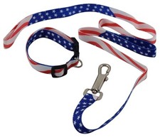 USA Patriotic American Military Memorial Labor Day Dog Collar and Leash Set