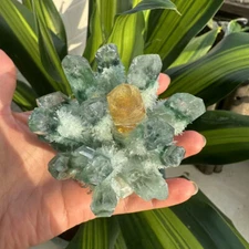290g New find Green Yellow Phantom Quartz Crystal Cluster Mineral Specimen Gem