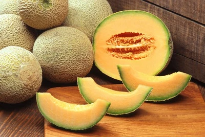 SEEDVILLE USA 200 IROQUOIS CANTALOUPE Melon Fruit Cucumis Melo Seeds