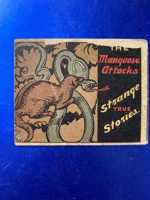 1936 R144 Wolverine Gum - Strange True Stories #19 The Mongoose Attacks