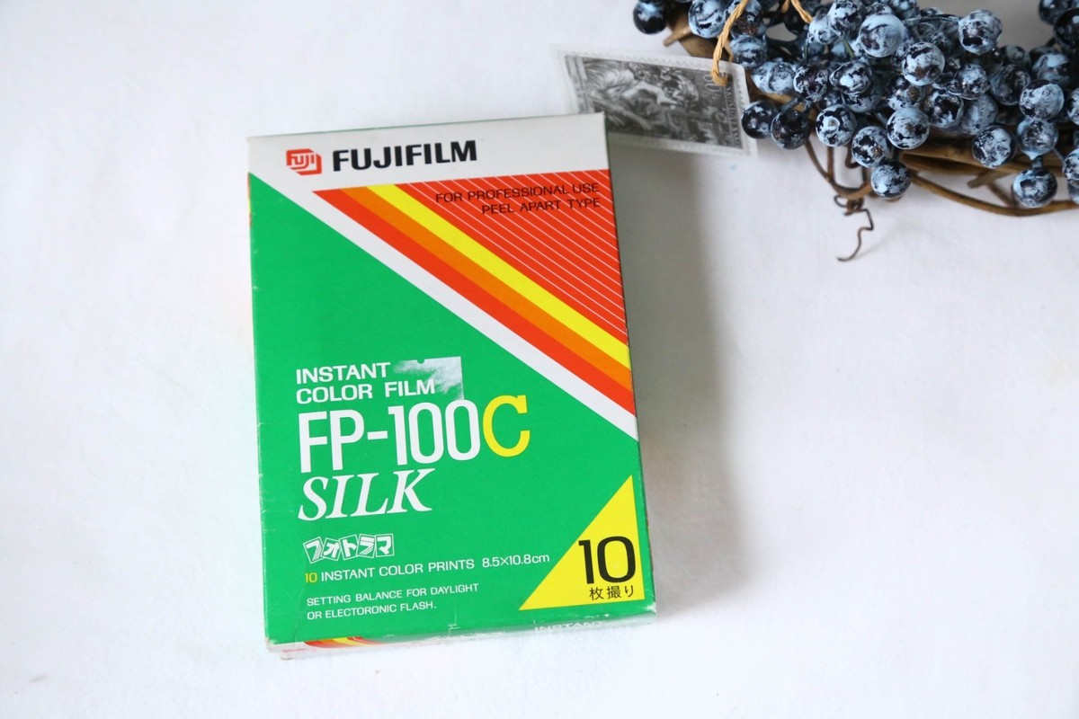 Fujifilm FP-100C ISO 3.5x4.2 in Professional Instant Colour Film