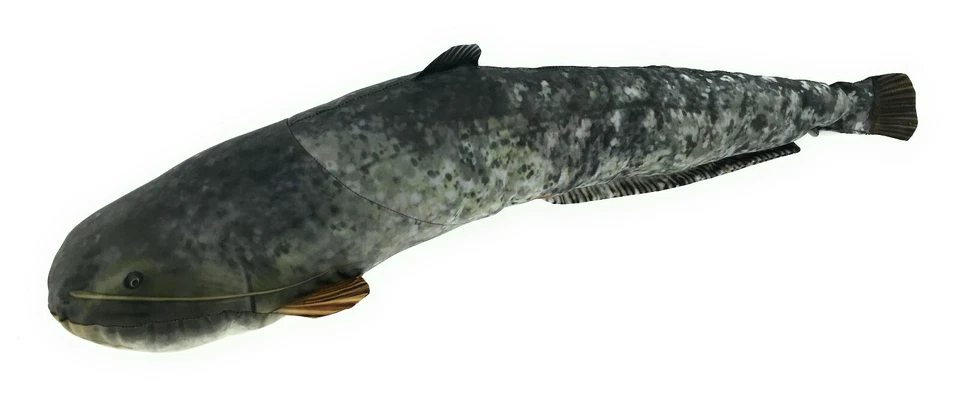 GABY DER EUROPÄISCHE WELS Stofftier Kuscheltier Kissen Fisch Plüschtier 62cm
