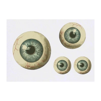 AZEEDA 4 x "Eyeball Front View" Temporäre Tattoos / Transfers (TO00078794)