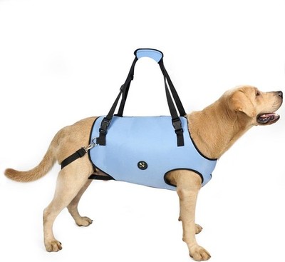 Coodeo Pet Support Harness Small Blue Lift Sling for Weak or Disabled Dogs