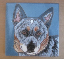 Hand Painted Tile by Pumpkin Cattle Dog   6"X 6" Dog Tile Blue Heeler # B