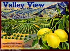 Claremont Los Angeles County Valley View 2 Lemon Citrus Fruit Crate Label Print