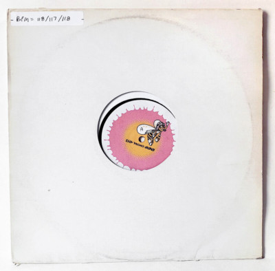DJ Friendly Sun Sun 12" Single Honeydipped Records cat #DiP PROMO 000