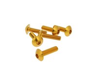 Schraubensatz 6 StüCk Verkleidung Gold - M5X20