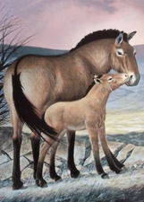 Two W.S. George "Last of Their Kind: The Endangered Species" collector plates